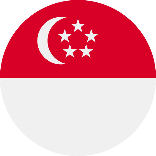 flag icon